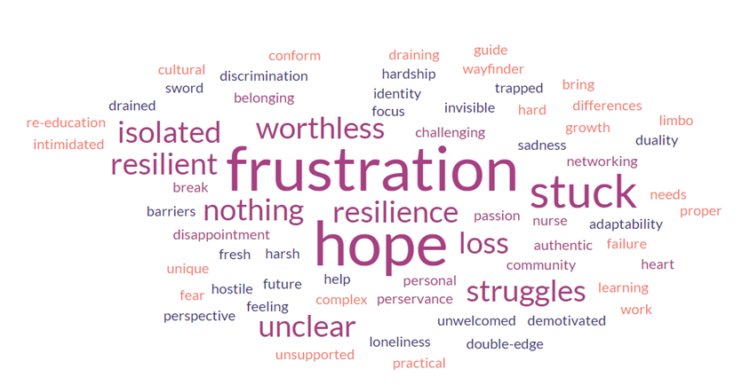 After listening to the stories the group reflected on IEN experiences - we used these words to create a word cloud